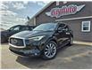 2021 Infiniti QX50 Luxe (Stk: -) in Sussex - Image 1 of 11
