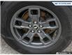 2024 Ford Bronco Sport Big Bend (Stk: 25BS577A) in Newmarket - Image 6 of 26
