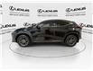 2024 Lexus NX 350h  (Stk: 14U7421) in Markham - Image 6 of 28