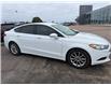 2017 Ford Fusion SE (Stk: 24796) in Pembroke - Image 5 of 6