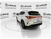 2023 Lexus NX 250  (Stk: 14U7413) in Markham - Image 7 of 25