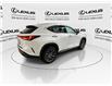 2023 Lexus NX 250  (Stk: 14U7413) in Markham - Image 9 of 25