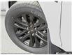2026 Ford F-150 XLT (Stk: 26F1487) in St. Catharines - Image 8 of 23