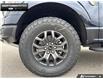 2026 Ford F-150 Tremor (Stk: 6F163454) in Brantford - Image 6 of 24