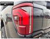 2026 Ford F-150 Tremor (Stk: 6F163454) in Brantford - Image 10 of 24