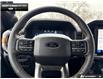 2026 Ford F-150 Tremor (Stk: 6F163454) in Brantford - Image 13 of 24