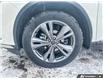 2024 Nissan Murano Platinum (Stk: PS2182) in Grande Prairie - Image 9 of 26