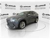 2023 Lexus NX 350  (Stk: 14112288A) in Markham - Image 5 of 29