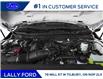 2026 Ford F-250 XL (Stk: LFFF01806) in Tilbury - Image 9 of 12