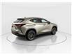 2026 Lexus NX 350h Base (Stk: 14112397) in Markham - Image 7 of 8