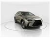 2026 Lexus NX 350h  (Stk: 15105729) in Richmond Hill - Image 1 of 8