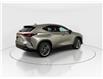 2026 Lexus NX 350h  (Stk: 15105729) in Richmond Hill - Image 7 of 8