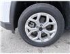 2026 Jeep Compass North (Stk: M23179) in Newmarket - Image 6 of 21