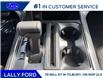 2026 Ford F-150 XLT (Stk: LFFF01629) in Tilbury - Image 14 of 15