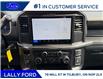 2026 Ford F-150 STX (Stk: LFFF01702) in Tilbury - Image 13 of 15