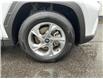 2024 Hyundai Tucson  (Stk: 251448) in Kingston - Image 23 of 23