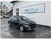 2023 Hyundai Kona 2.0L Preferred (Stk: 260248) in Ottawa - Image 1 of 21