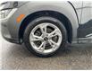 2023 Hyundai Kona 2.0L Preferred (Stk: 260248) in Ottawa - Image 21 of 21