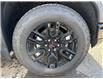 2026 GMC Sierra 1500 Elevation (Stk: CT202) in High River - Image 3 of 6