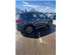 2021 Hyundai Tucson Luxury (Stk: KU0498) in Okotoks - Image 6 of 13