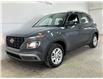 2023 Hyundai Venue Preferred w/Two-Tone (Stk: 43747J) in Belleville - Image 3 of 28