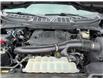 2022 Ford F-150  (Stk: 24352) in Miramichi - Image 13 of 13