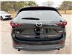 2025 Mazda CX-5 GX (Stk: 16179) in Newmarket - Image 17 of 50