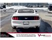 2016 Ford Mustang EcoBoost (Stk: A9089A) in Calgary - Image 4 of 5