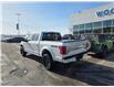 2017 Ford F-150 Platinum (Stk: T-969A) in Calgary - Image 3 of 6