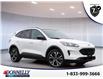 2021 Ford Escape SE Hybrid (Stk: DA450A) in Ottawa - Image 1 of 16