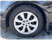 2025 Toyota Corolla LE (Stk: 12108264A) in Concord - Image 15 of 18