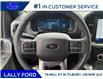 2026 Ford F-150 XLT (Stk: LFFF01710) in Tilbury - Image 12 of 12