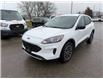 2022 Ford Escape SE (Stk: P7381) in Oakville - Image 6 of 33