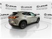 2024 Lexus NX 350h  (Stk: 14112368A) in Markham - Image 9 of 28