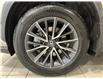 2024 Lexus NX 350h  (Stk: 14112368A) in Markham - Image 11 of 28