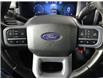 2024 Ford F-150  (Stk: B20873) in Calgary - Image 18 of 21
