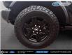 2024 Ford Bronco Black Diamond (Stk: F62191A) in GEORGETOWN - Image 7 of 18