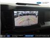 2024 Ford Bronco Black Diamond (Stk: F62191A) in GEORGETOWN - Image 18 of 18