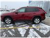2020 Toyota RAV4 XLE (Stk: MI6090A) in BELLEVILLE - Image 2 of 20