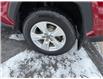 2020 Toyota RAV4 XLE (Stk: MI6090A) in BELLEVILLE - Image 3 of 20