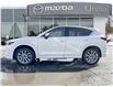 2025 Mazda CX-5 GT (Stk: 8433P) in ORILLIA - Image 3 of 22