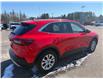 2024 Ford Escape Active (Stk: 24812) in Pembroke - Image 4 of 6