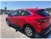 2024 Ford Escape Active (Stk: 24812) in Pembroke - Image 6 of 6