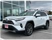 2024 Toyota RAV4 Hybrid Limited (Stk: W7046) in Cobourg - Image 1 of 31
