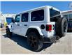 2023 Jeep Wrangler Sahara (Stk: W588575P) in WHITBY - Image 3 of 41