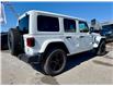 2023 Jeep Wrangler Sahara (Stk: W588575P) in WHITBY - Image 5 of 41
