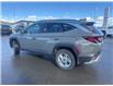 2025 Hyundai Tucson Preferred (Stk: T112463B) in Cranbrook - Image 3 of 20