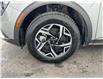 2024 Kia Sportage  (Stk: 260352) in Ottawa - Image 21 of 21