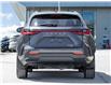 2025 Lexus NX 350  (Stk: 15105672A) in Richmond Hill - Image 7 of 29