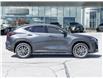 2025 Lexus NX 350  (Stk: 15105672A) in Richmond Hill - Image 6 of 29